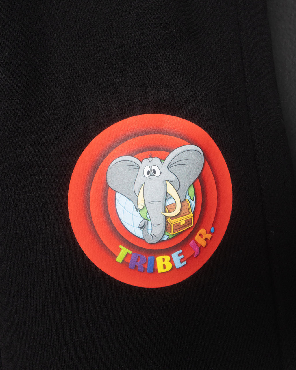 Circular logo with an elephant and colorful text on a black background