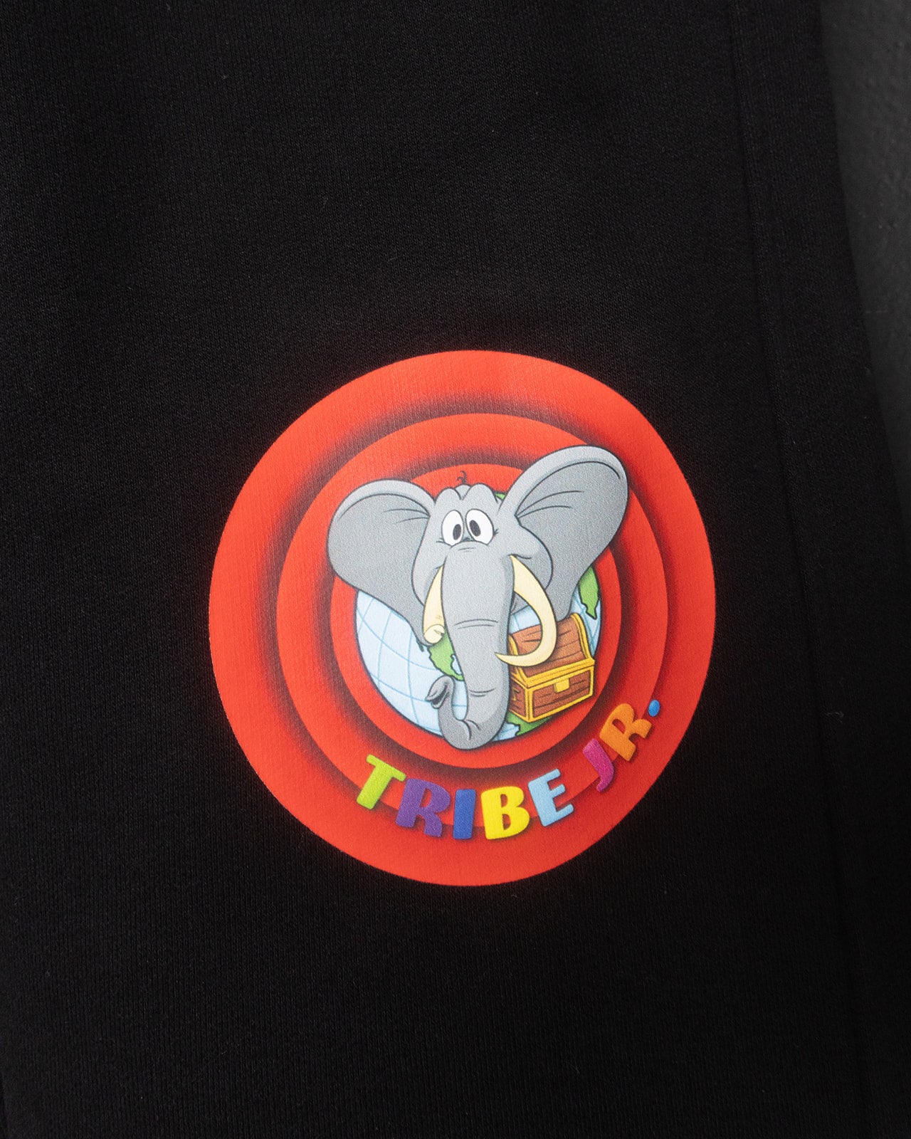 Circular logo with an elephant and colorful text on a black background