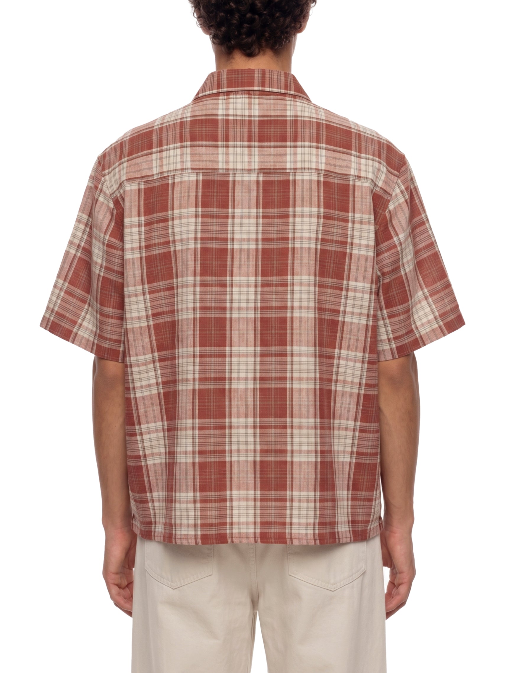 Person wearing a red and white plaid shirt on a white background
