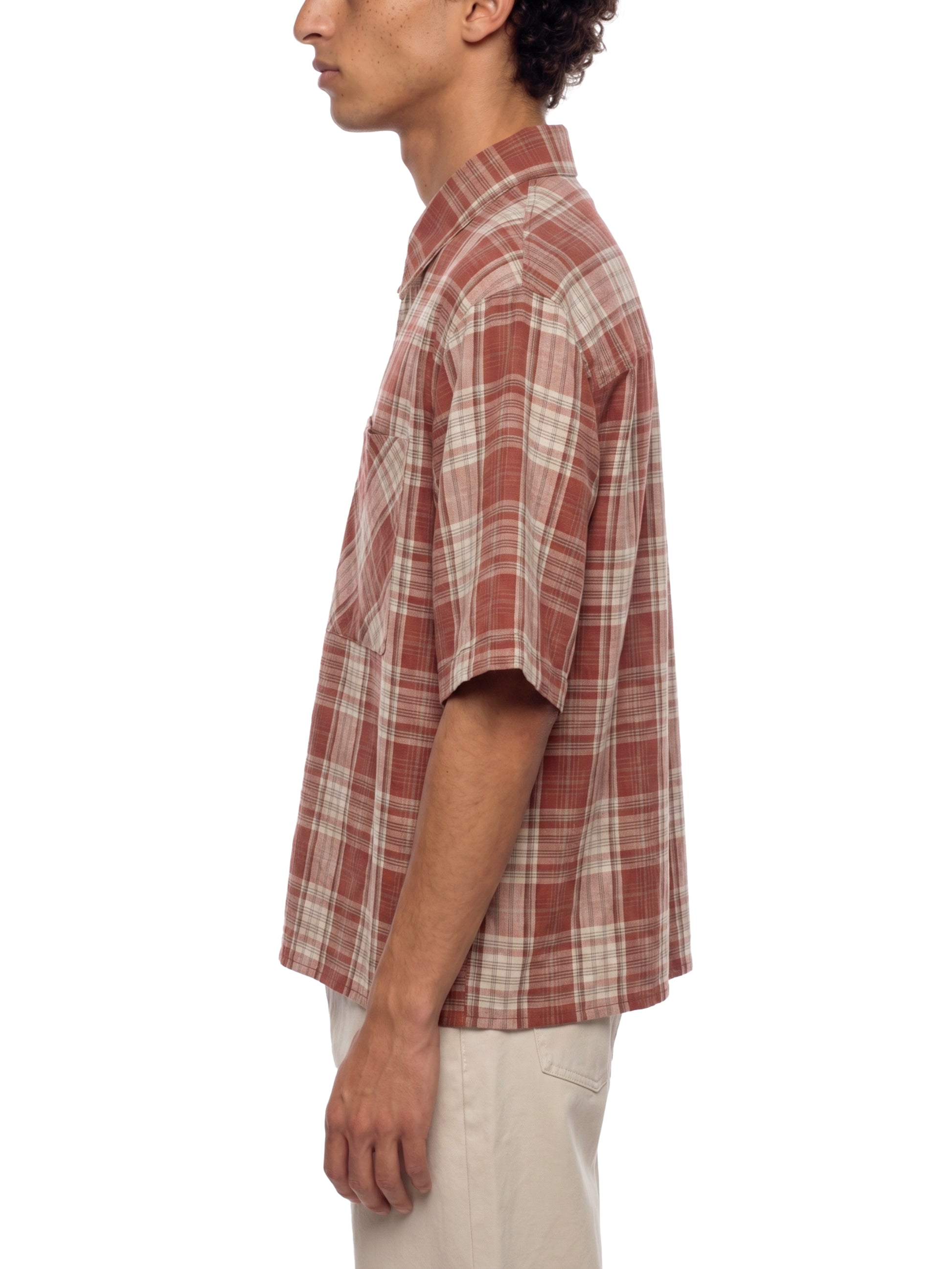 Person wearing a red and white plaid shirt on a white background